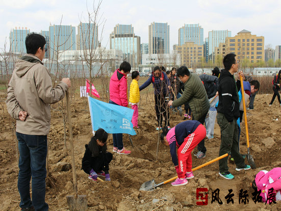 親子活動(dòng)植樹