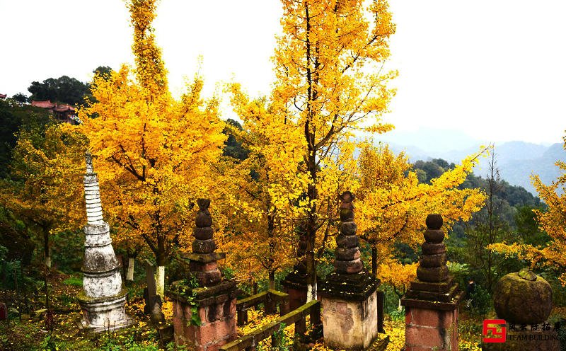 大邑團(tuán)建好去處-白巖寺